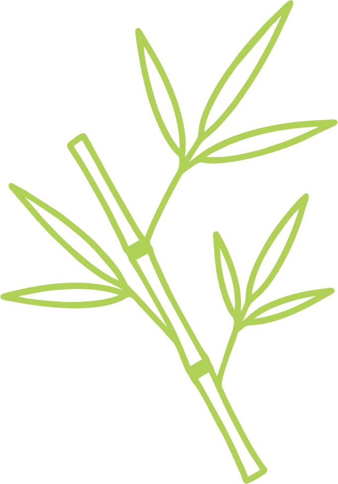 Bamboo