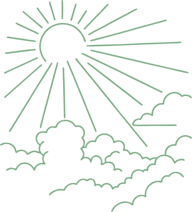 Sunny Paradise