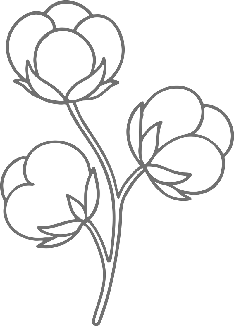 White Cotton